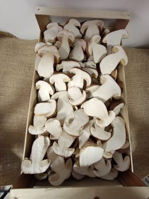 IMG-20241026-WA0004