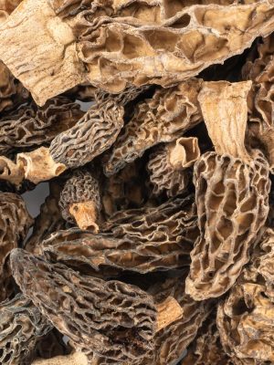 dried-morel-mushrooms-wild-morchellas-dried-mushrooms-slofoodgroup-315211_2048x