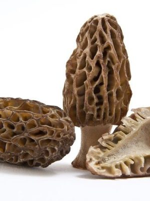 mag-dried-morel-mushroom-1