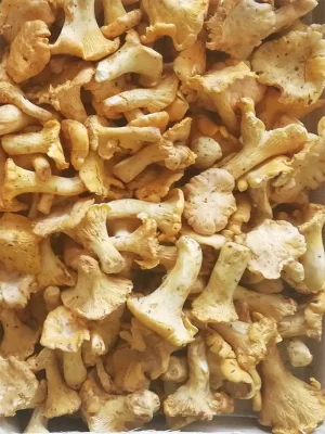 proizvod lisicarka 1